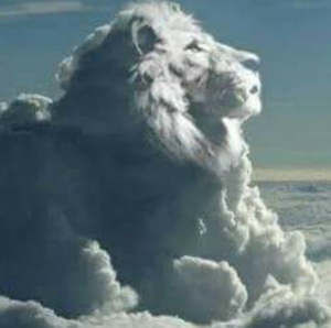 Meet your Posher, Jerrell